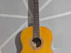 Gibson Classical Guitar