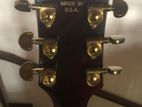 Gibson Les Paul Special Edition Electric Guitar