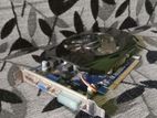 GIGABYTE GeForce GT 430 1GB Graphics card/VGA