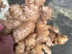 Ginger (ඉගුරු)