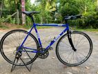 Gios Italy Bicycle