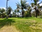 GIRIULLA : 36-ACRE PREMIUM COCONUT ESTATE & LUXURY BUNGALOW FOR SALE