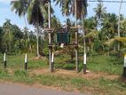 Giriulla : 4 Acres Land with 5BR House,Crusher,Rock , Looder for Sale