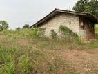 Giriulla : 415.54P Land with a House for Sale at Pannala
