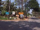 Giriulla : 640P Residential Land with 6BR House for Sale