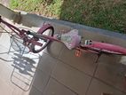 Girls Bicycle