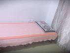 Girls Sharing Room Rent at Wellawatte
