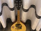 Givson Mandolin