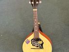 Givson Mandolin with Unit