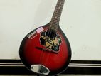 Givson Mandolin (Amplifier)