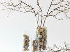 Glass Beaker Vase