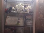 Display Showcase