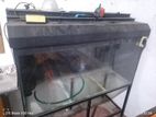 Glass Fish Tank