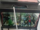 Glass Fish Tank