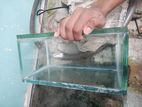 Glass Fish Tanks