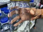 Glass Jars