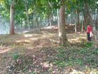 ගලගෙදර නගරයෙන් ඉඩමක් විකිණීමට