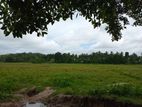 Glorious Land for sale in Athurugiriya