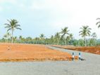 Glorious Land for Sale in Hikkaduwa- Galle