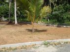 Glorious Land for Sale in kalutara with 10p block