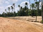 Glorious Land for sale in Negombo with 13.60p
