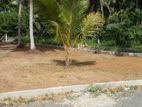 Glorious Land Plot for Sale in Horana