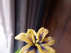Dark Rapunzel's Flower Bouquet