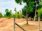ගම්බිරිගස් වැව - අනුරාධපුර පාරට මුහුණා සින්නක්කර බිම් කොටස්
