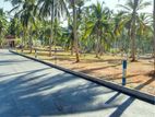 ගම්පහ දිව්ලපිටිය ප්‍රධාන බස් පාරට මායිම්ව ව්‍යාපාරික හා නෙවාසික ඉඩම්
