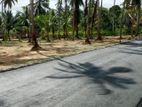 ගම්පහ දියුලපිටිය 211 බස් පාරට මායින් බිම්කොටස්