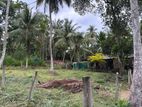 ගම්පහ කිරිදිවැලින් වටිනා ඉඩමක්