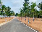 ගම්පහ කොළඹ පාරට මායින්ව නගරසබා සීමාවෙන්