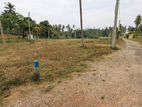 ගම්පහ මිරිස්වත්තෙන් වටිනා ඉඩමක් විකිණීමට