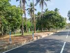 ගම්පහ යක්කල 231 බස් මාර්ගයට මායින්ව