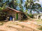 🏡✨ ගම්පහින් නිවසක් සහ ඉඩමක් සොයන ඔබට සුපිරි අවස්ථාවක්