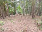 ගම්පහ,මාකෙවිට පෙදෙසින් ඉඩමක් විකිණීම