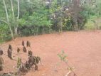 ගම්පහට කිට්ටුවෙන් බිම් කොටසක්