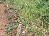 ගම්පොල පර්චස් 24 ක ඉඩමක් විකිණීමට