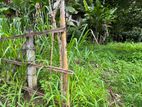 ගම්පොල වීගුලවත්තේ පර්චස් 24 ක ඉඩමක් විකිණීමට