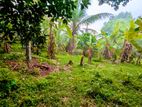 ගනේමුල්ල බොල්ලත ඉඩම් කැබලි දෙකක්