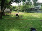 ගනෙමුල්ල වටිනා සින්නක්කර ඉඩමක් විකිණීමට