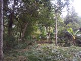 ගන්නෝරුවේ ඉඩමක් විකිණීමට