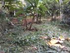 ගන්නෝරුවේ ඉඩමක් විකිණීමට