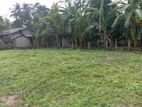 මිනුවන්ගොඩ වටිනා ඉඩමක් විකිණීමට
