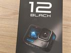 GO pro 12 black edition with 256 GB memory card