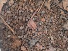 Goat dried fertilizer