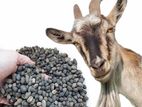 Goat Dung Compost Fertilizer