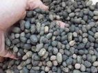 Goat Fertilizer