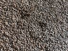 Goat Manure එළු බැටි