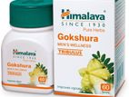 Gokshura Mens Wellness 60 capsules